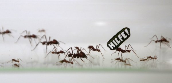 Снимка: Reuters