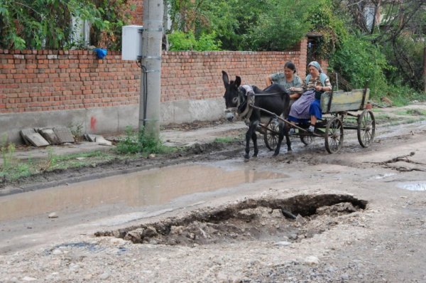 Снимка: Булфото