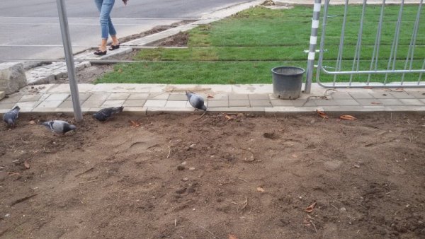 Снимка: Dnes.bg