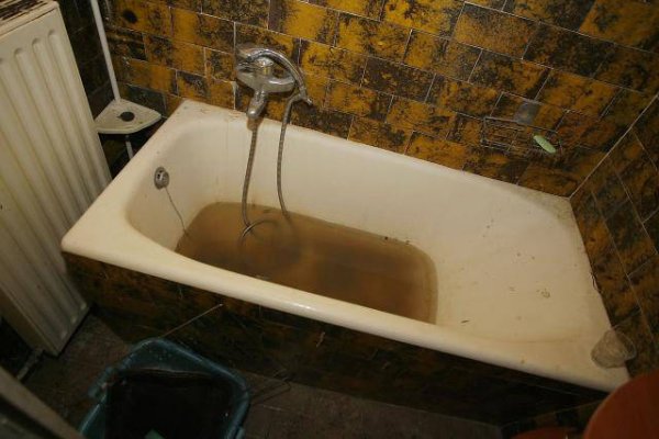 Снимка: izismile