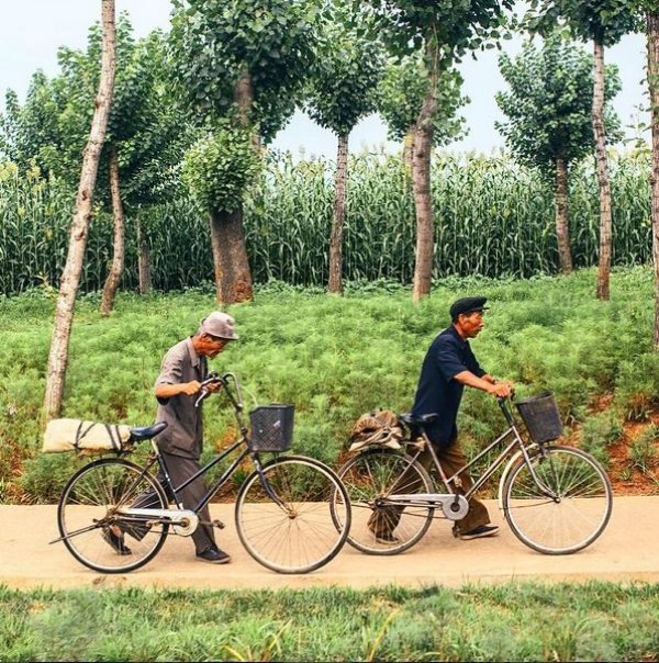 Снимка: Тейлър Пембъртън, Instagram