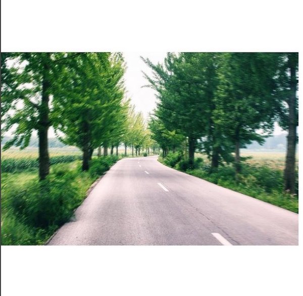 Снимка: Тейлър Пембъртън, Instagram