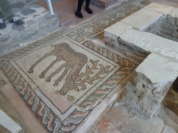 Елен - християнски символ, част от баптистерия (зала за кръщения). Снимка: Dnes.bg