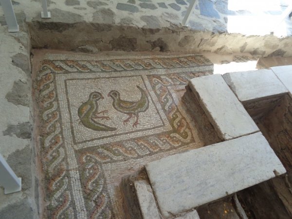 Снимка: Dnes.bg