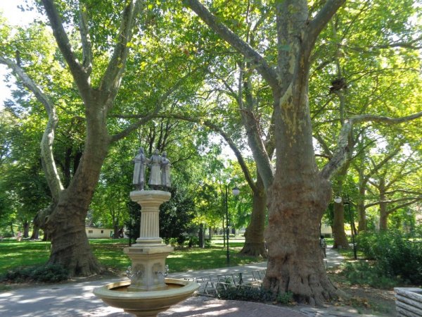 Снимка: Dnes.bg