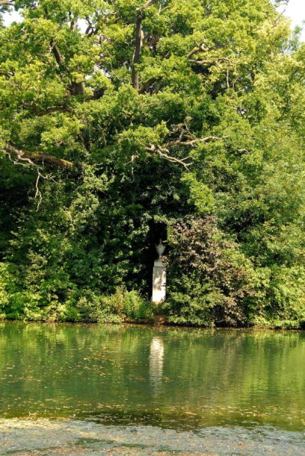 Снимка: Gettyimages