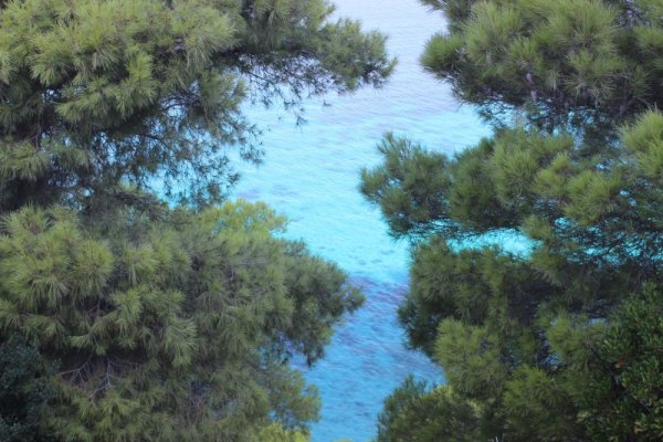 Снимка: Dnes.bg