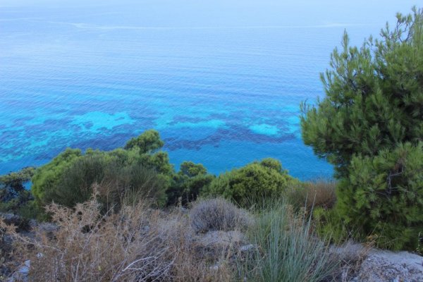 Снимка: Dnes.bg