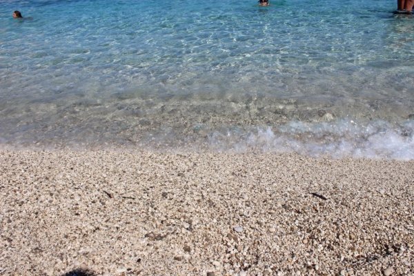 Снимка: Dnes.bg