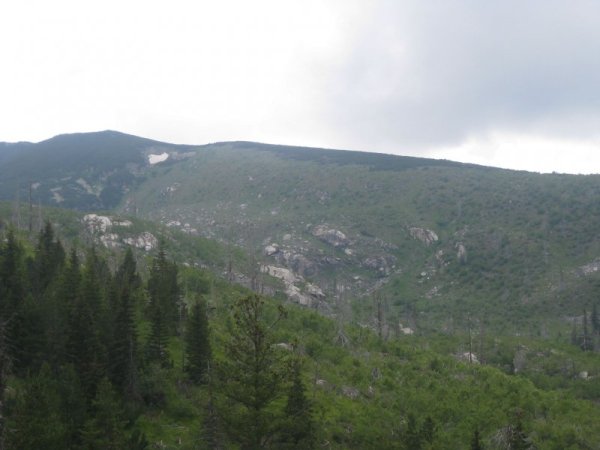 Склонът край Мальовица, който горя през 2000 г. Снимка Dnes.bg