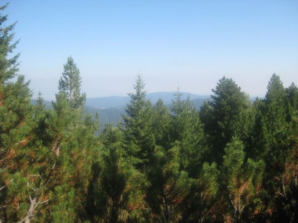 Снимка Dnes.bg