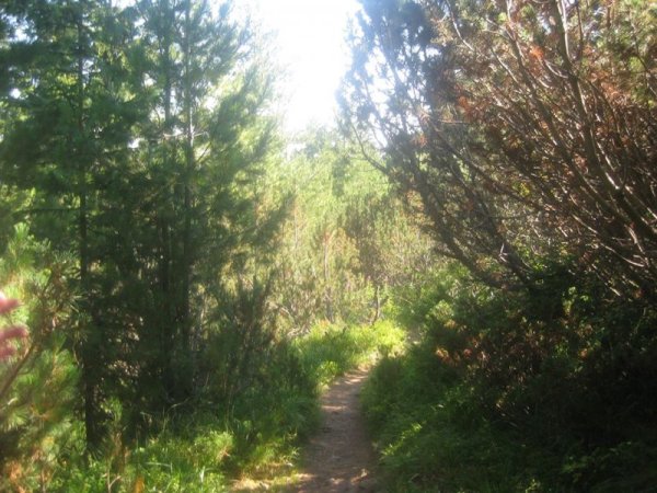 Снимка Dnes.bg