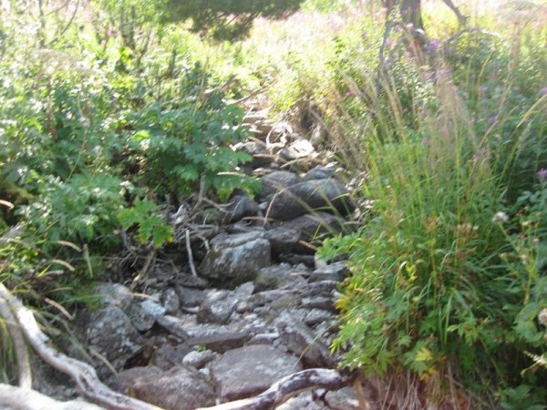 Снимка Dnes.bg