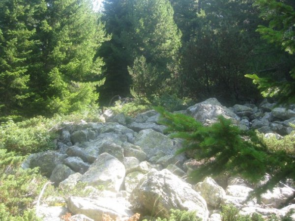 Снимка Dnes.bg