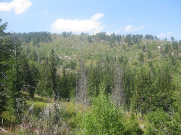 Ридът Раждавица. Снимка Dnes.bg