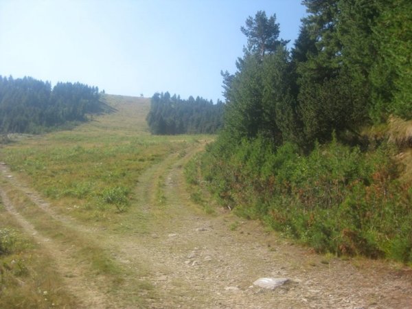 Пътят след гората. Снимка Dnes.bg