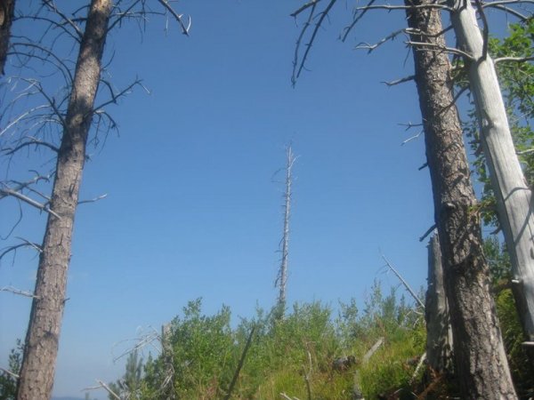 Снимка Dnes.bg