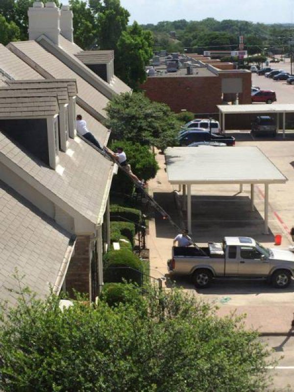 Снимка: izismile