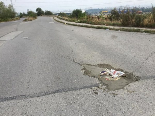 Снимка: Николай Найденов