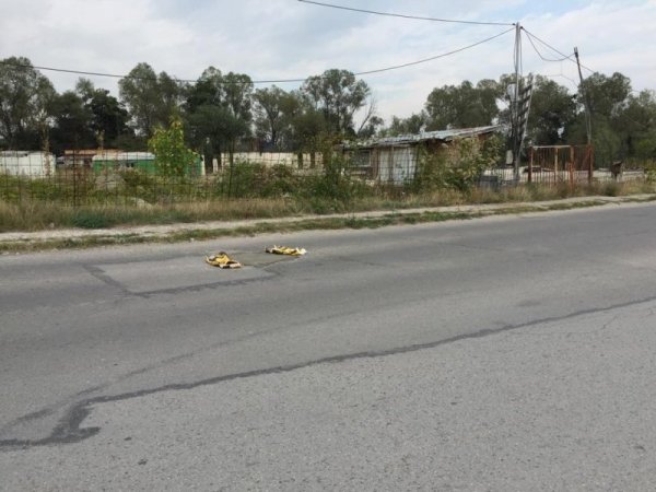 Снимка: Николай Найденов