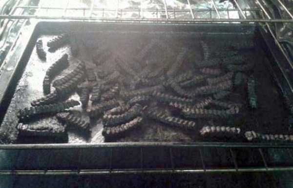 Снимка: klyker