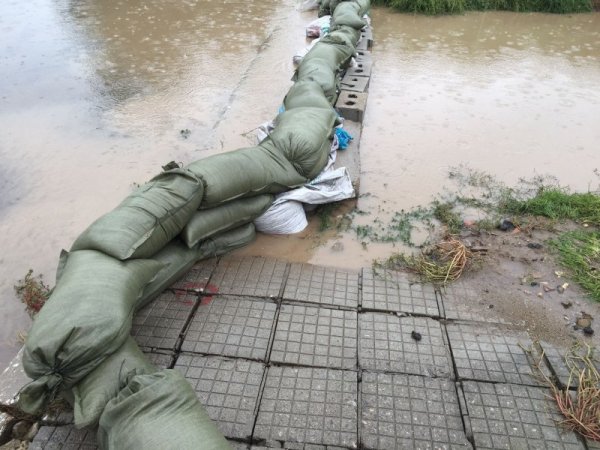 Снимка: Dnes.bg