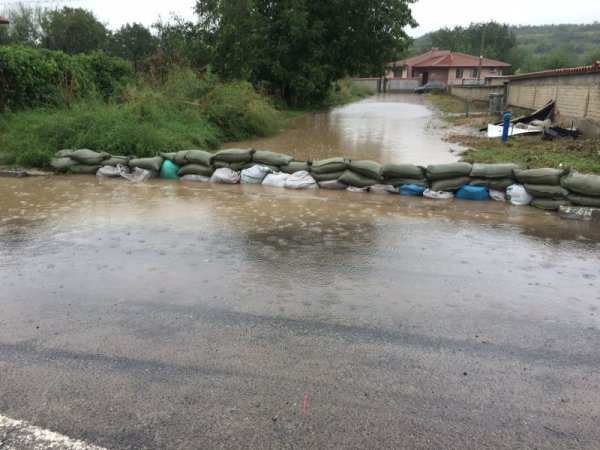 Снимка: Dnes.bg