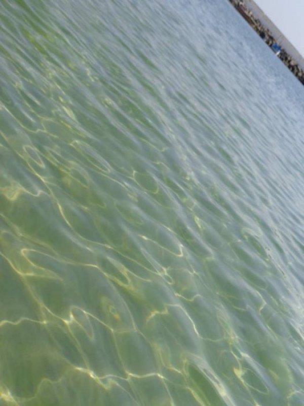 "Перла". Снимка: Dnes.bg