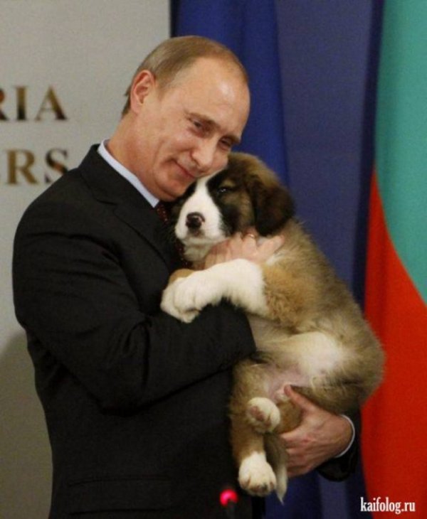Снимка: Kaifolog.ru