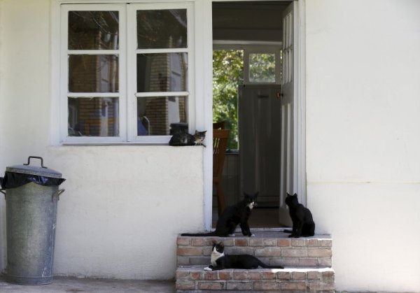 Снимка: Reuters