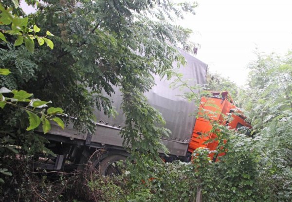 Снимка: Булфото