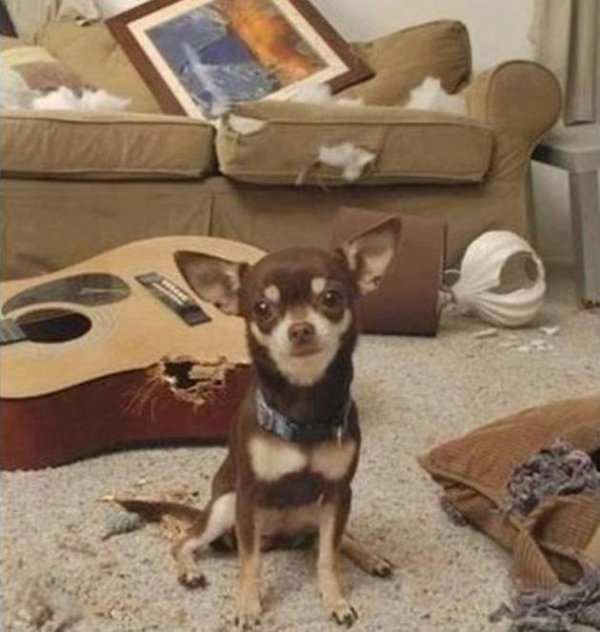 &nbsp;&nbsp;Снимка: Facebook