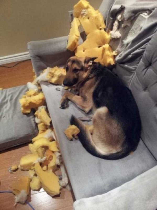 &nbsp;&nbsp;Снимка: Facebook