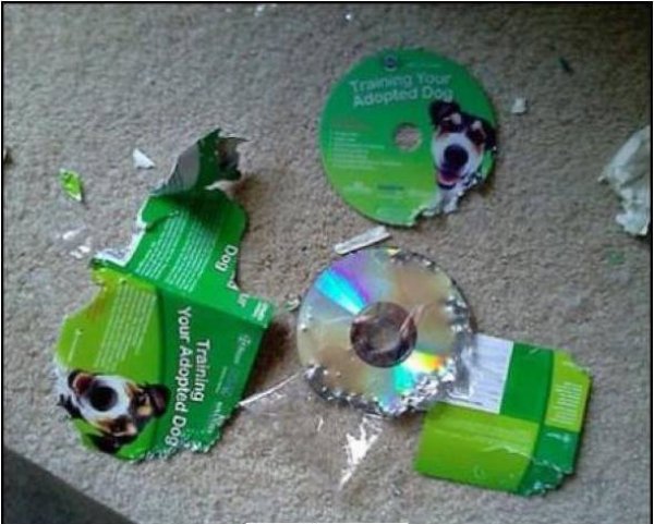 &nbsp;&nbsp;Снимка: Facebook