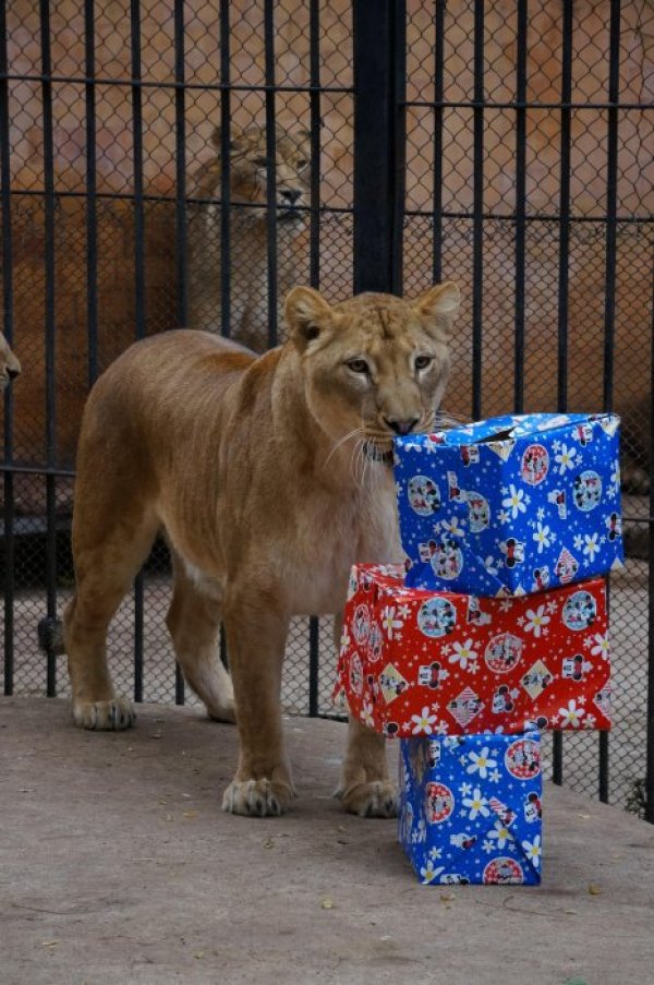 Снимка: Булфото