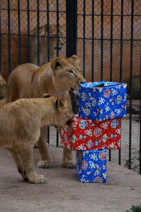 Снимка: Булфото