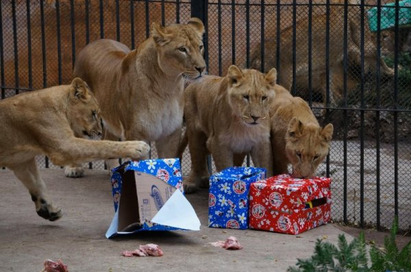 Снимка: Булфото