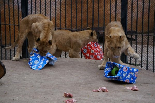 Снимка: Булфото