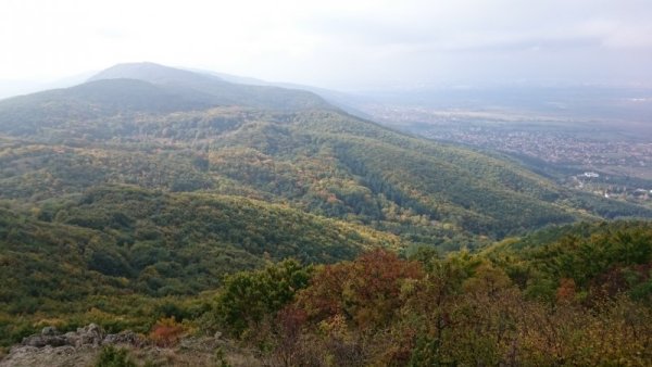 Снимка: Адриана Стателова