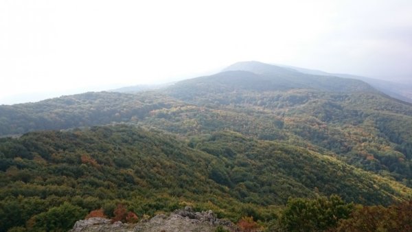 Снимка: Адриана Стателова