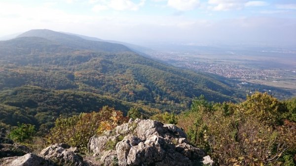 Снимка: Адриана Стателова