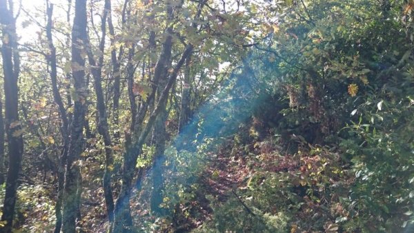 Снимка: Адриана Стателова