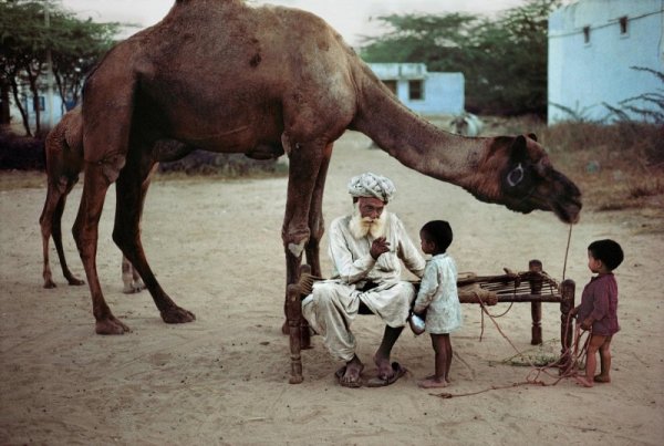 Снимка: Steve McCurry