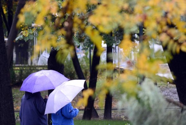 Дъждовен петъчен ден в Пловдив.  Температурите в града са под 10 градуса. Снимка: БТА
&nbsp;