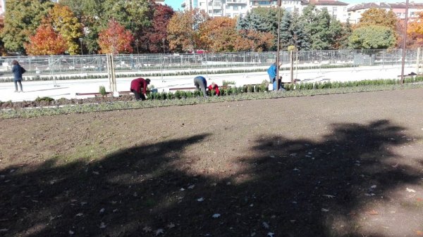 Снимка Dnes.bg