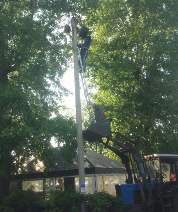 Снимка: kaifolog