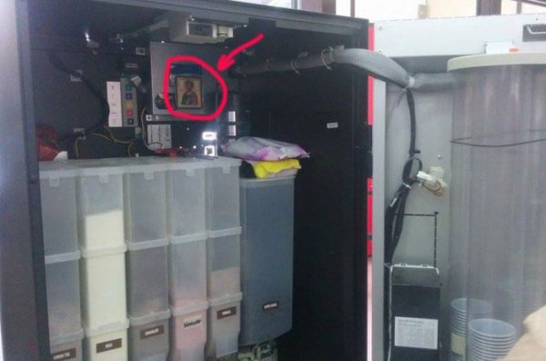 Снимка: kaifolog