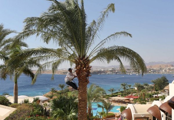 Снимка: Reuters