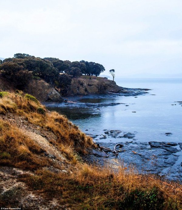 Снимка: Kara Rosenlund