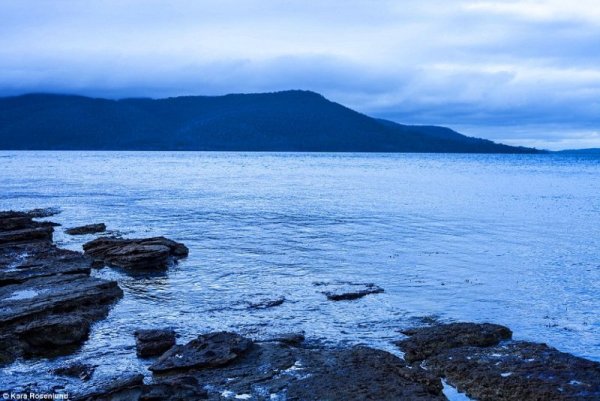 Снимка: Kara Rosenlund